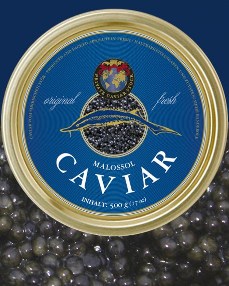 Frischer Sibirischer Stör Caviar