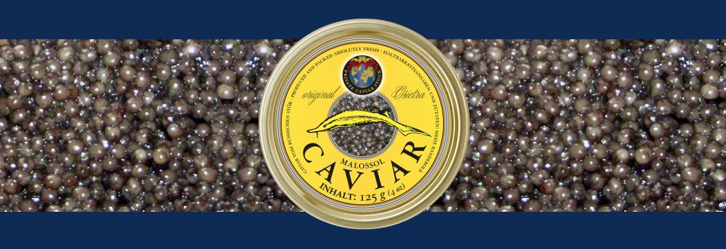 Osietra Russischer Stör Caviar