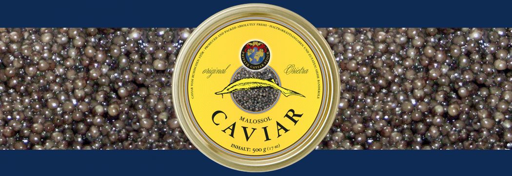 Osietra Russischer Stör Caviar