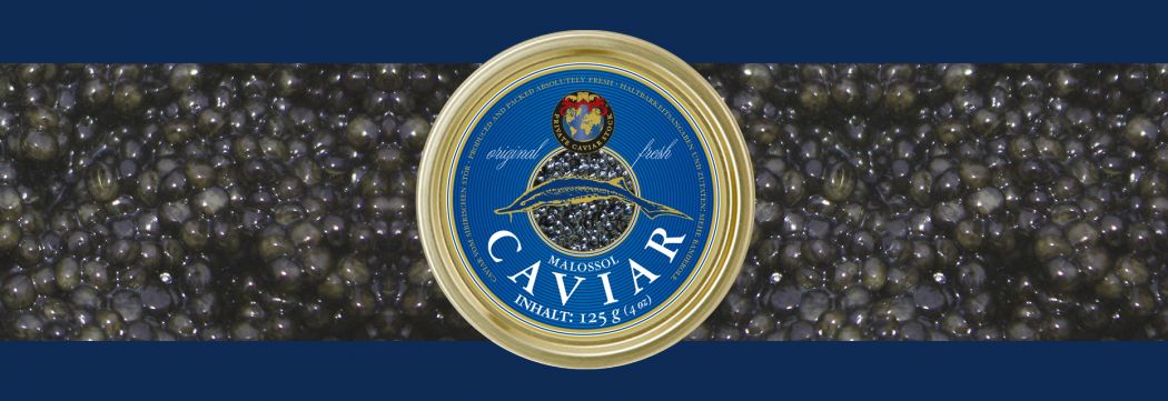 Frischer Sibirischer Stör Caviar